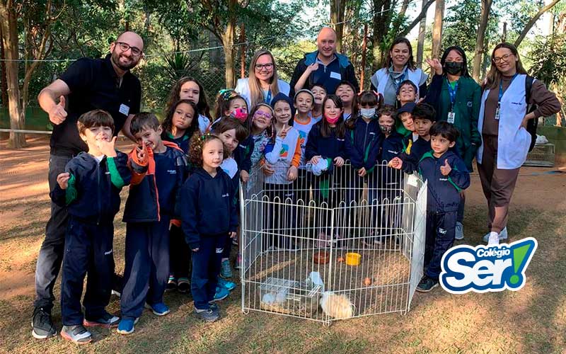 Atividade com Veterinário - Roedores