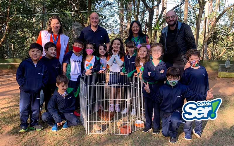 Atividade com Veterinário - Aves